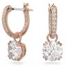 Swarovski Constella korvakorut 5639975-1
