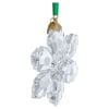 Swarovski Annual Edition Ornament 2026 joulukoriste 5718051