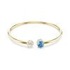 Swarovski Chroma rannekoru 5757998