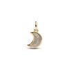 Pandora Sparkling Crescent Moon hela 764275C01