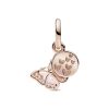 Pandora Moments Pink Butterfly & Quote hela 782555C01