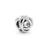 Pandora Moments Clear Eternity Circle hela