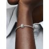 Pandora Shining Elegance -låsberlock 791817CZ