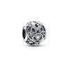 Pandora Paw Print hela 792248C00-1