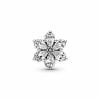 Pandora Herbanium Cluster Charme 792623C01-1