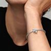Pandora Sparkling Zodiac Virgo / neitsyt 798417C01-2
