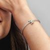 Pandora Sparkling Zodiac Capricorn / kauris 798423C01-2