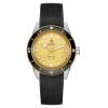 Rado Captain Cook 39.0 mm R32223258
