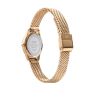 Daniel Wellington Ophelia Mini Mesh White Rose Gold DW00100940