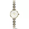 Daniel Wellington Petite Mini Arch DW00100923