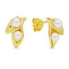 Silberohrringe mit Perlen, Vergoldet E-30921PG