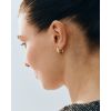Edblad Crest Hoops S Ohrringe 127396