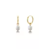 Edblad Perla Hoops Gold 13.5mm 116656