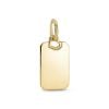Pandora Rectangle Engravable Tag Pendant hela 368611C00