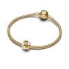 Pandora Abstract Waves Charm hela 763915C01-3