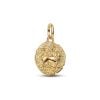 Pandora ME Lion Medallion Charme 763974C01