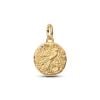 Pandora ME Swallow Medallion hela 764082C01