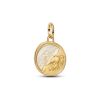 Pandora ME Pegasus Medallion hela 764090C01