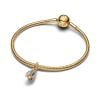 Pandora Cicada Dangle Charme 764490C01
