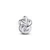 Pandora Infinity Knot Charme 793755C00-2