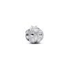 Pandora Textured Ladybird Mini Charme 794527C00