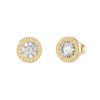 Guess Ohrringe JUBE02244JWYGT/U-1