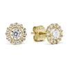 Gold Ohrringe K-E36282Z-1