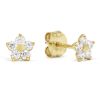 Gold Ohrringe, Stern K-E38976Z-1