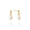 Mockberg Aura Pearl Gold korvakorut MB2076