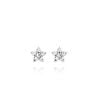 Mockberg Flora Steel Ohrringe MB2081