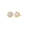Michael Kors Premium Ohrringe MKC1035AN710