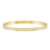 Nomination Pretty Bangle Armband 029513/020