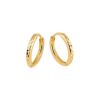 Goldene Ohrringe OT404116-10MM