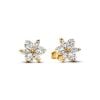 Pandora Timeless Sparkling Herbarium Cluster korvakorut 262633C0-1
