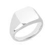 Edelstahlring RSS1006