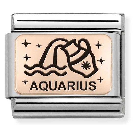 Nomination Classic Rose Gold horoskooppi Vesimies 430112/11