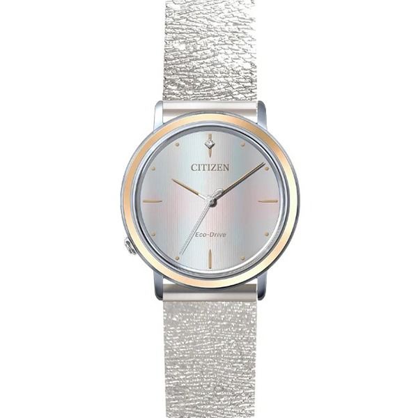 Citizen Eco-Drive 10th Anniversary EM1006-40A