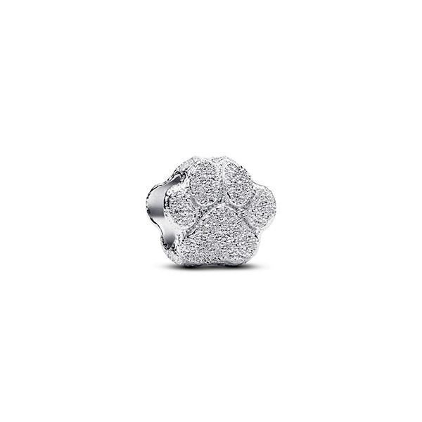 Pandora Textured Paw Mini Charm hela 794043C00
