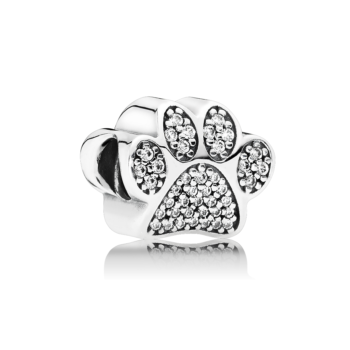 Pandora Paw Prints