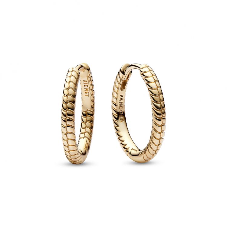 Pandora Moments Small Charm Hoop Ohrringe 262728C00