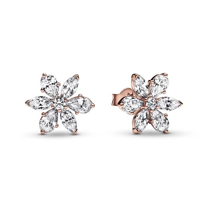 Pandora Timeless Sparkling Herbarium Cluster Ohrringe 282407C01