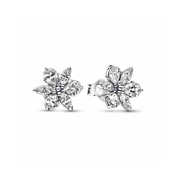 Pandora Herbanium Cluster Ohrringe 292633C01