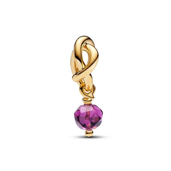 Pandora Faceted Purple Eternity Circle Dangle Charme 763462C02 / Februar