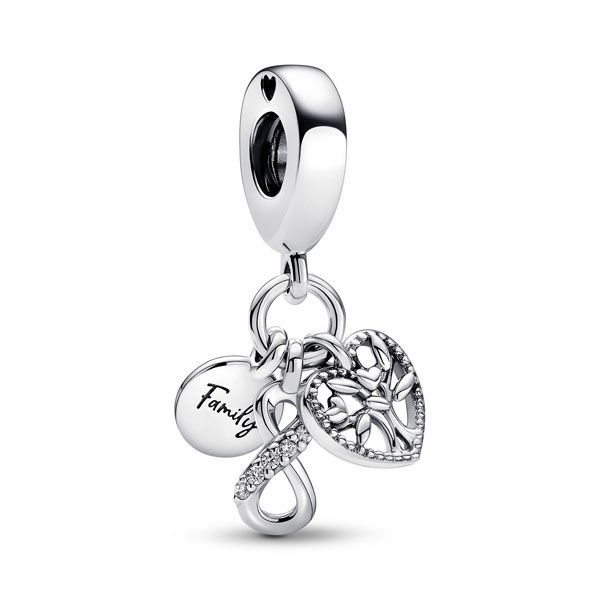 Pandora Family Infinity Charme 792201C01