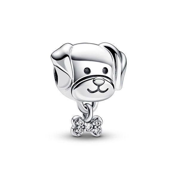 Pandora Pet Dog And Bone Charme 792254C01