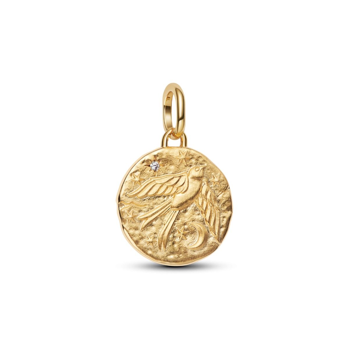 Pandora ME Swallow Medallion hela 764082C01