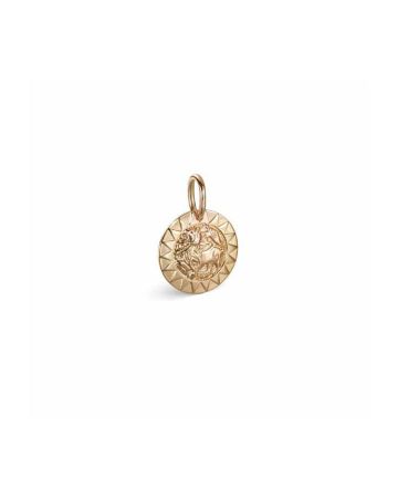 Kalevala Amuletti Aurinkoleijona hela 14K 18703131