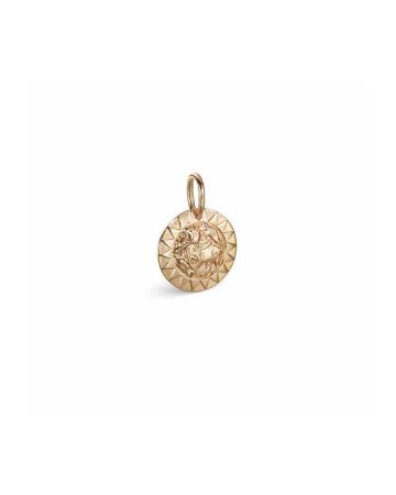 Kalevala Amuletti Aurinkoleijona hela / pieni 14K 18703133