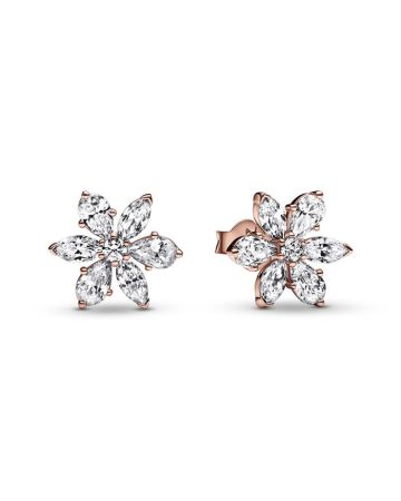 Pandora Timeless Sparkling Herbarium Cluster Ohrringe 282407C01