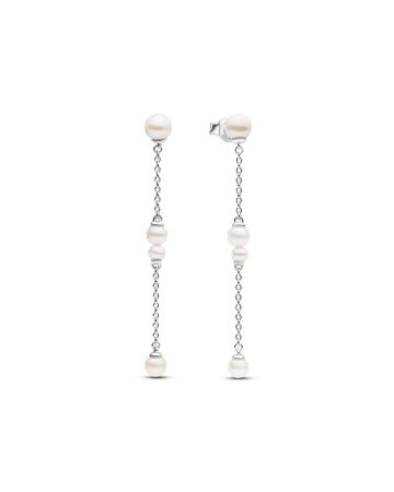Pandora Timeless korvakorut 293152C01-1